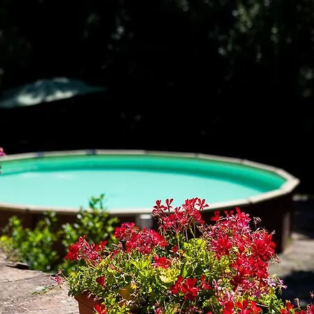 Guest house Bassetto