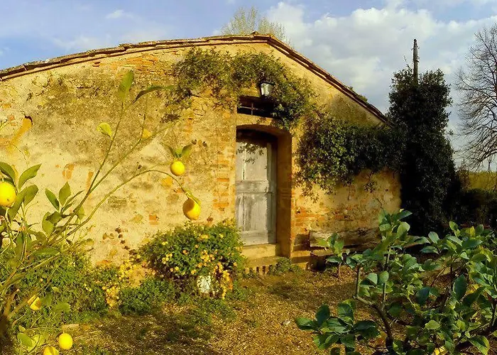 Bassetto & 3* 切塔尔多